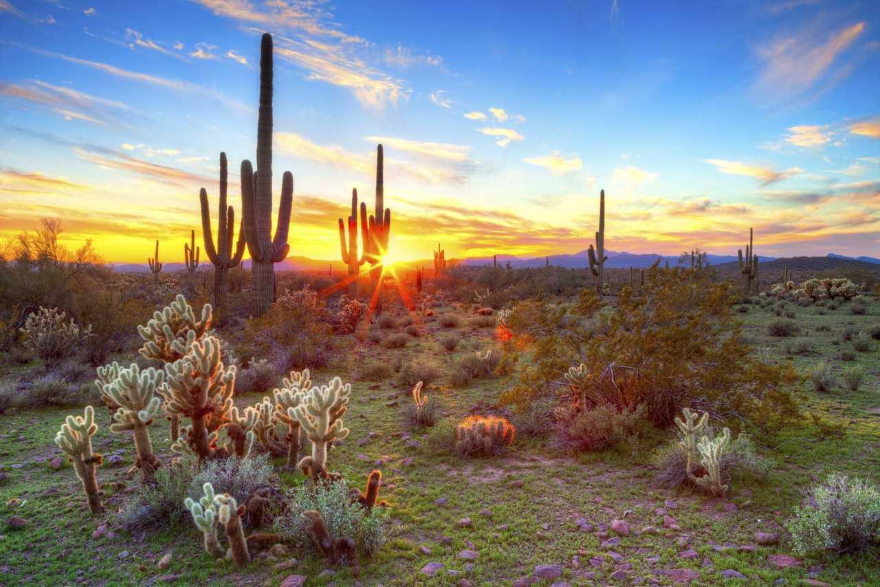 Cambria Hotel Phoenix Chandler - Fashion Center Esterno foto